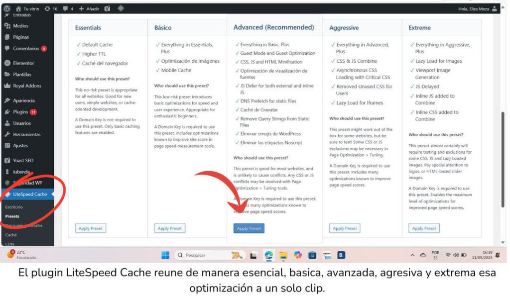 captura de pantalla de wordpress señalando el plugins litespeed cache y boton de aplicar optimizacion.